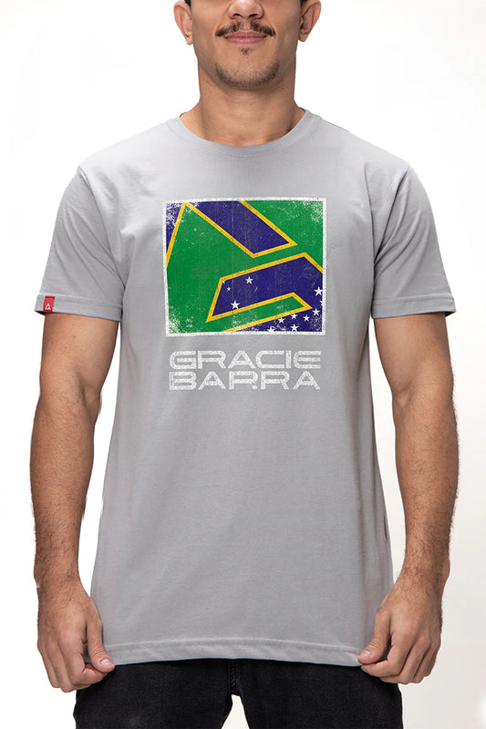 Camiseta Legado BRA V3 - Cinza